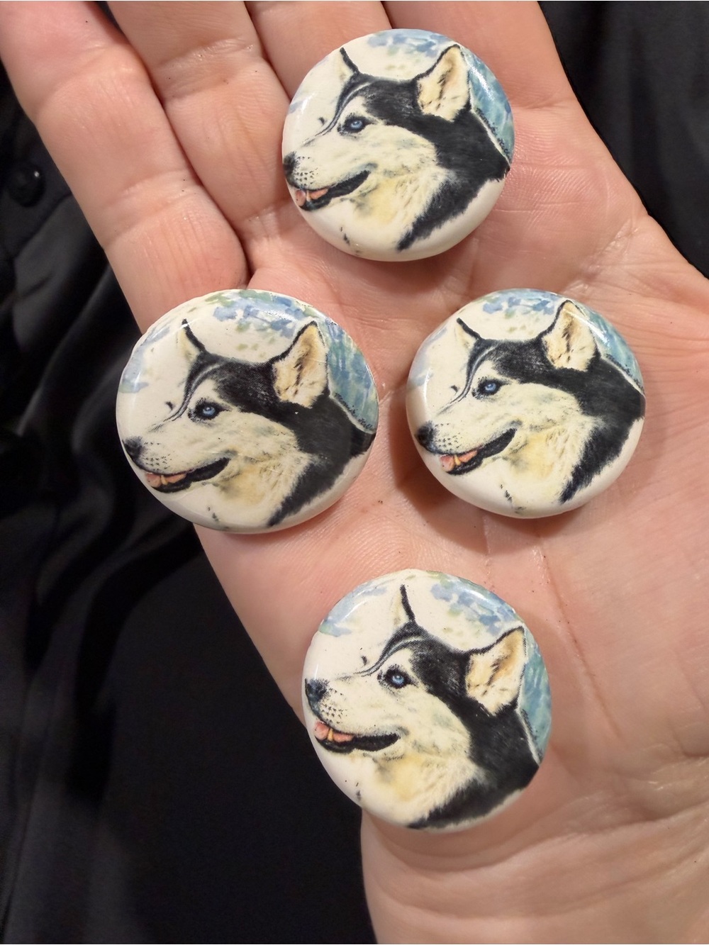 Vintage Husky Dog Lovers Button Covers 4 Pcs